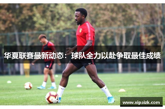 华夏联赛最新动态：球队全力以赴争取最佳成绩