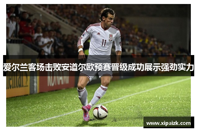 爱尔兰客场击败安道尔欧预赛晋级成功展示强劲实力