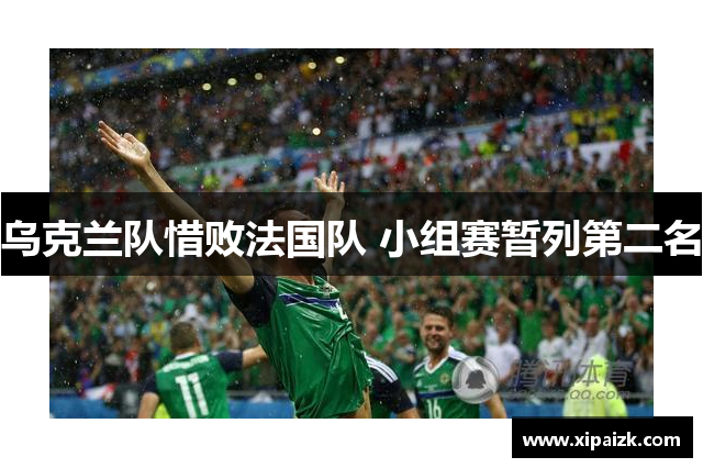乌克兰队惜败法国队 小组赛暂列第二名 乌克兰队惜败法国队 小组赛暂列第二名