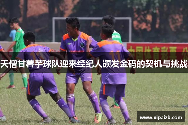 天僧甘薯芋球队迎来经纪人颁发金码的契机与挑战