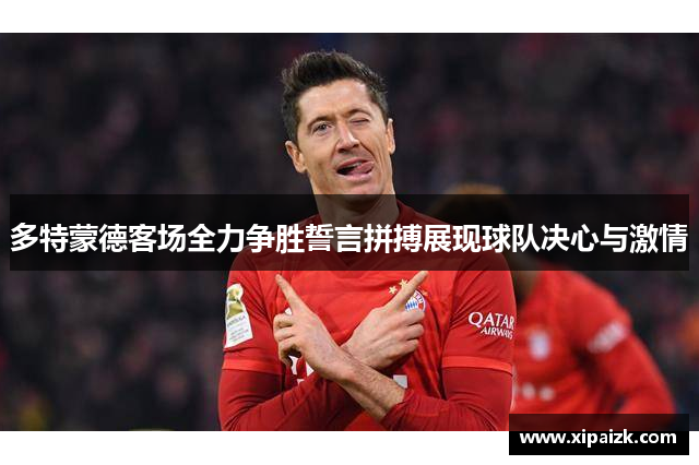 多特蒙德客场全力争胜誓言拼搏展现球队决心与激情