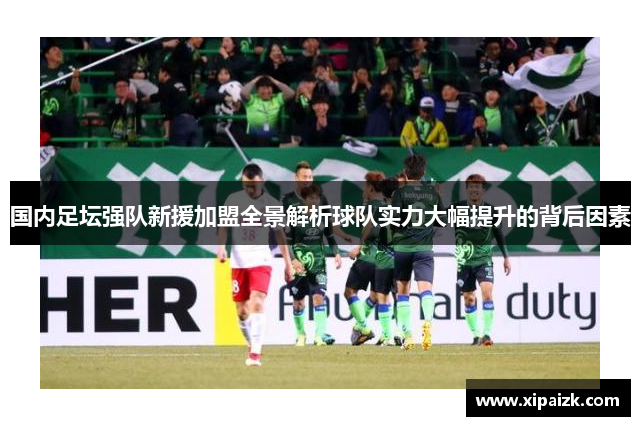 国内足坛强队新援加盟全景解析球队实力大幅提升的背后因素