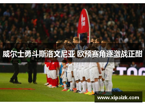 威尔士勇斗斯洛文尼亚 欧预赛角逐激战正酣