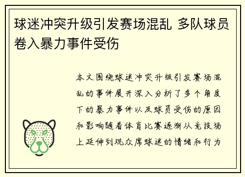 球迷冲突升级引发赛场混乱 多队球员卷入暴力事件受伤